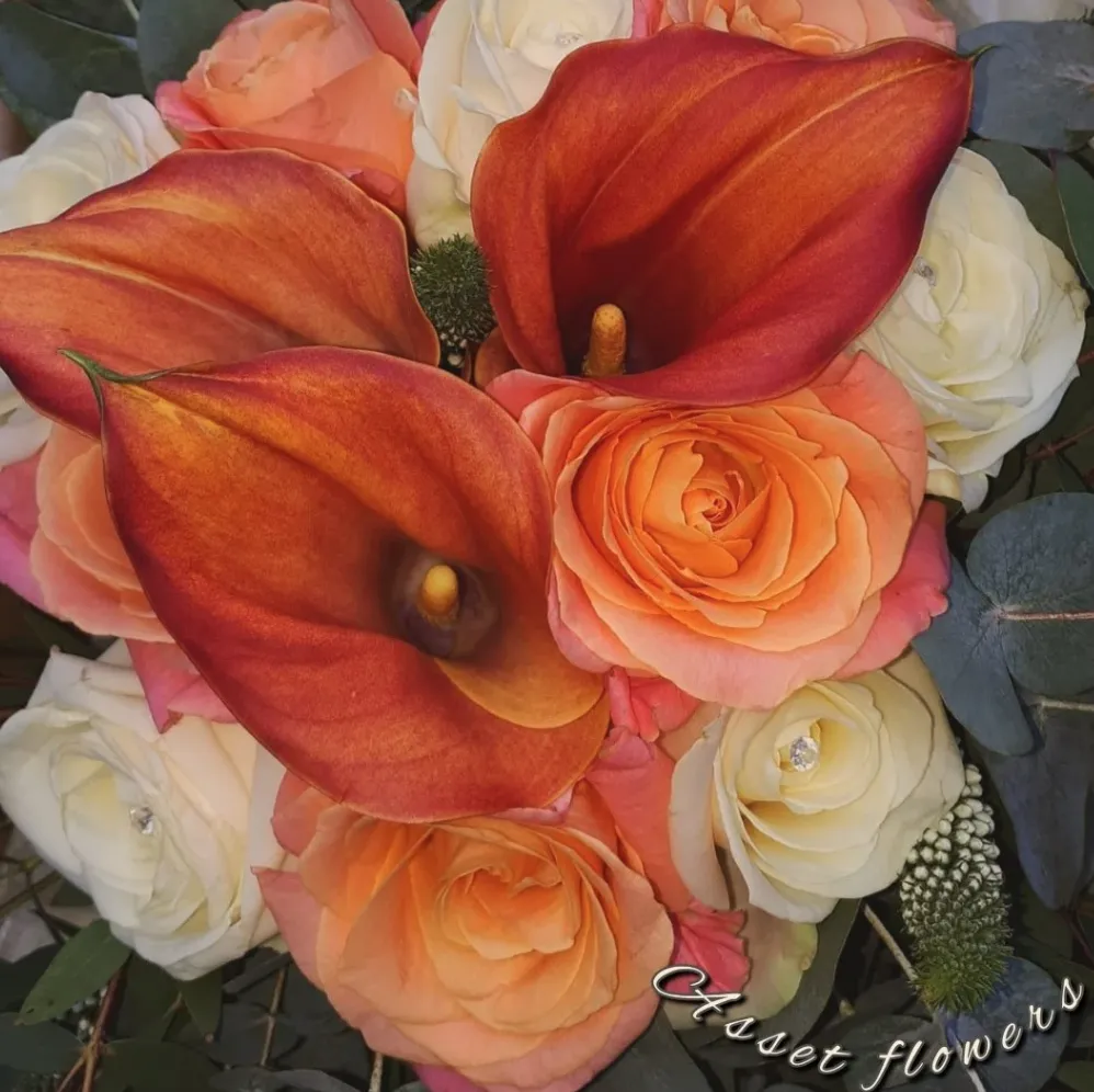 Burnt orange Calla Lilies with cream and orange Roses